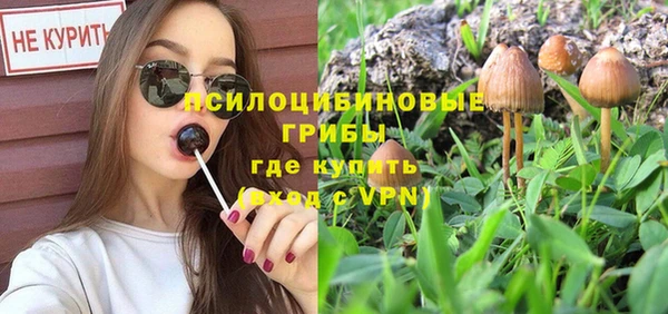 каннабис Алексеевка