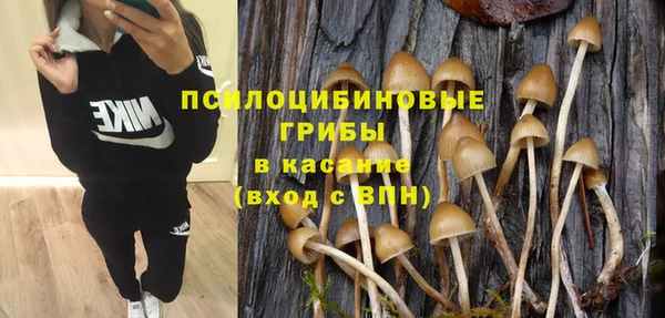 стаф Россошь
