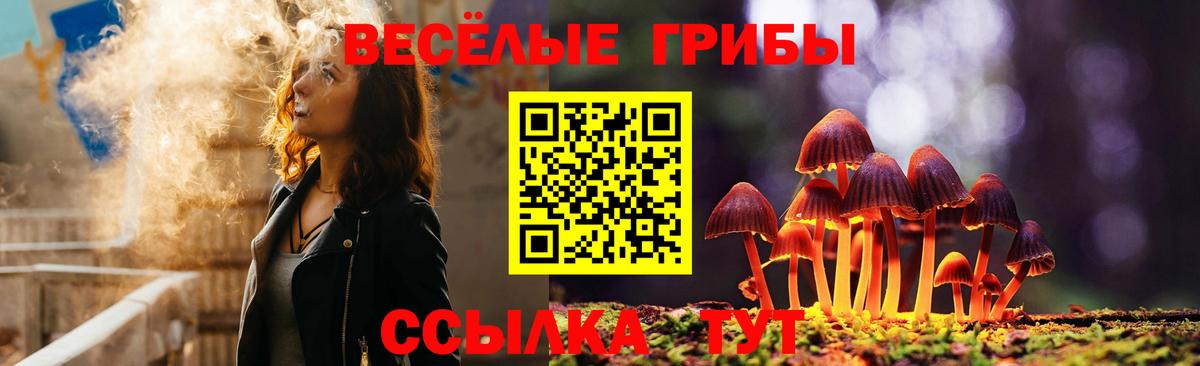 Узловая  Галлюциногенные грибы GOLDEN TEACHER  Псилоцибиновые грибы Cubensis  Вход с VPN 